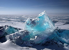 植物大战脑腐终极融合狂潮活动指南