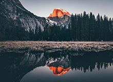 植物大战脑腐终极融合狂潮活动指南